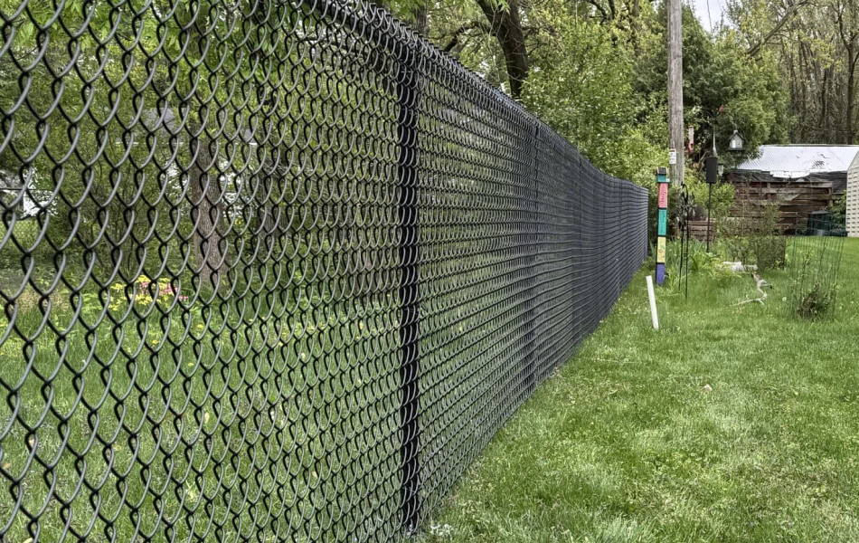 Chain Link Fence (1)